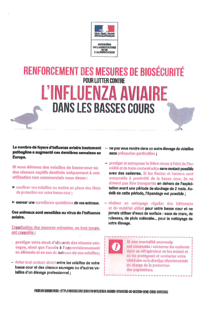 RENFORCEMENT CONTRE INFLUENZA AVIAIRE